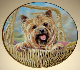 Paul Doyle Yorkshire Terriers Carry Me Home Plate w COA