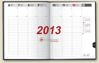 Buchkalender 2013 Manager Balacron 1 Woche2 Seiten 21x26cm Brunnen