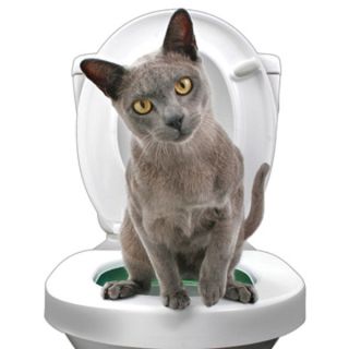 Kitty Litter Boxes and Related Kitten Accessories