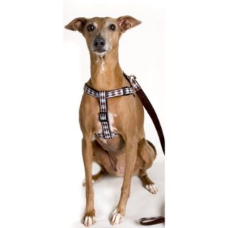 Lola & Foxy Step In Dog Harnesses   Joker	   Harnesses   Collars, Harnesses & Leashes