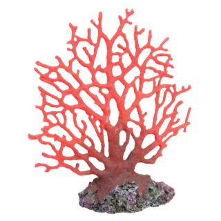 Natural Ornaments for Fish Tanks and Related Aquarium Accessories