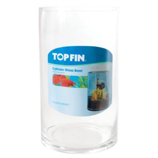 Top Fin Cylinder Glass Betta    Sale   Fish