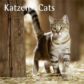 Katzen 2011 Trends & Classics Kalender Bücher