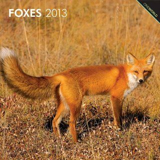 Kalender 2013 Fuchs   Füchse   Foxes   Browntrout 