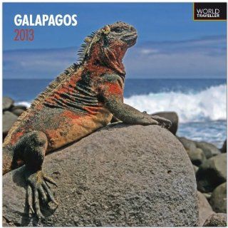 Galapagos 2013   Galapagos Inseln   Original BrownTrout Kalender