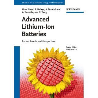 Advanced Lithium Ion Batteries (New Materials for Sustainable Energy