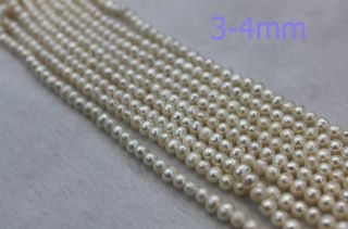 AA 10x3 4mm Weiß rund Süßwasser Zuchtperlen Perlen