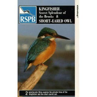 The Kingfisher [VHS] [UK Import]: Rex Harrison, Wendy Hiller, Cyril