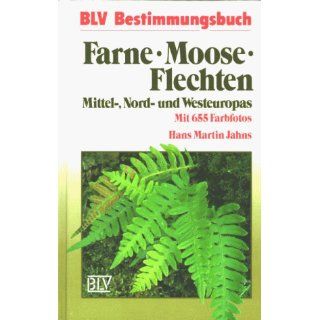 Farne, Moose, Flechten Mittel , Nord  und Westeuropas Hans