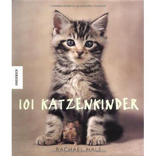 101 Katzenkinder Rachael Hale Bücher