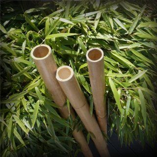 Bambusrohre Bambus Rohre 159 Deko Dekoration Garten neu Tikamoon