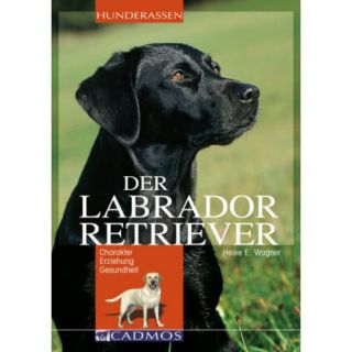 Labrador Retriever   Charakter Erziehung Gesundheit ~ NEU ~