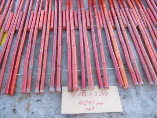 43 47mm 183x244 rot lackiert stufig Bambus Rollzaun