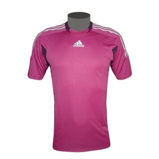 Adidas Champ Herren Torwart Trikot kurzarm pink Fussball