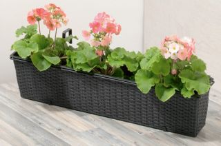 Blumenkasten Balkonkasten Polyrattan mit Wasserspeicher und Granulat