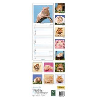 Kalender 2013 Hamster   Wandkalender   Trixie Haustier