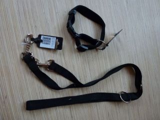 Leine und Halsband für große Hunde neu, schwarz, Nylon