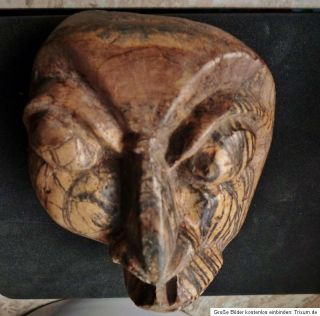 Maske aus fossilen Stegodon Zahn   Mask from fossil stegodon tooth