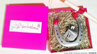 Pink Glücksbox echtes Hufeisen Glücksbringer Hufnägel Marienkäfer