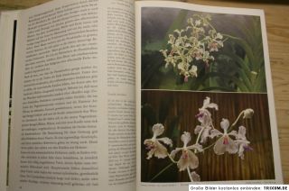 Orchideen,Arten,Zucht, wissenschaftliches Fachbuch 1958