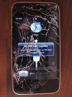iPhone 3G Display Touchscreen LCD Glas Reparatur