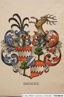 Genealogie Familie Badicke, Wappenkunde, Schönfeldt bei Bärwalde Nm