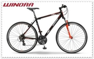 Crossrad Dubai Herren 28 Fahrrad 21 G Altus mix 12 Winora RH 60
