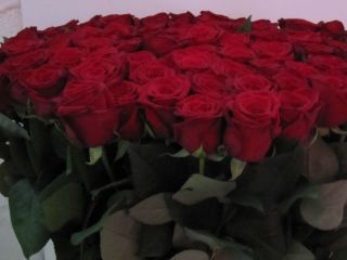 Blumenversand , Blumenstrauß,Bundware,Rosen,rot,großblumig,10 Stück