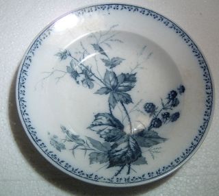 Villeroy Boch Mettlach Rubus Brombeere Tiefer Teller 24 cm vor 1900 Nr