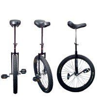 ACTION UNICYCLE ACCLAIM 24X2.50IN. PRO BLACK Sports