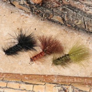 Wooly Bugger Standard Fishing Flies (Set of 12)