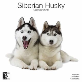 Siberian Husky 2010 Calendar