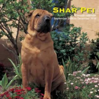 Shar Pei 2010 Calendar