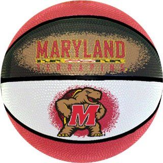 NCAA Maryland Terrapins Mini Basketball