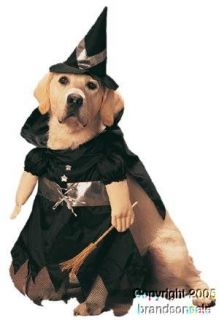 Pet Witch Dog Halloween Costume For Small Dogs: Clothing