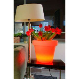Vase lumineux à rebord H 47 cm multicolore à LEDS   Achat / Vente