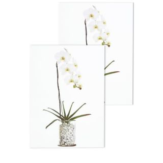 Stickers deco vitres orchidee blanche 33 x 45 cm   Stickers déco