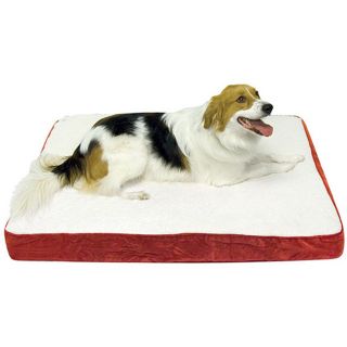 Ozzie Orthopedic Dog Bed   Large (36 x 48)   Deep Red