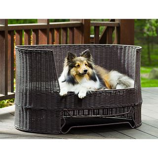 Wicker Dog Day Bed w/ Outdoor Cushion