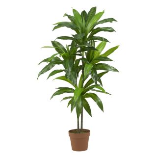 Dracaena Real Touch Silk Plant Today $49.09 4.6 (9 reviews)