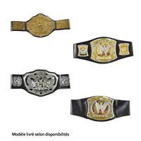 ACCESSOIRE DEGUISEMENT VENDU SEUL Mattel Ceinture Catch officielle WWE