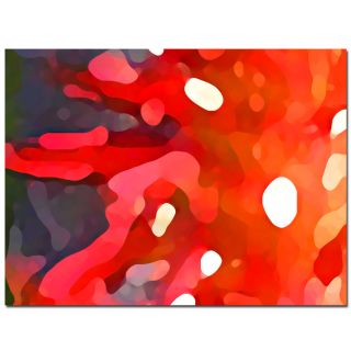 Amy Vangasgard Red Sun Canvas Art Was: $54.99 Sale: $42.29 Save: 23%
