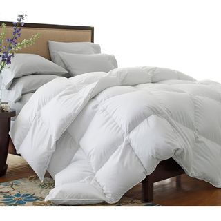 Oversized 330 Thread Count All Season White Down Blend Comforter