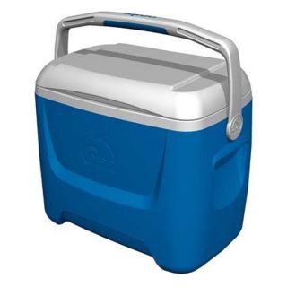 Igloo 44558 Personal Cooler, 28 qt., Blue