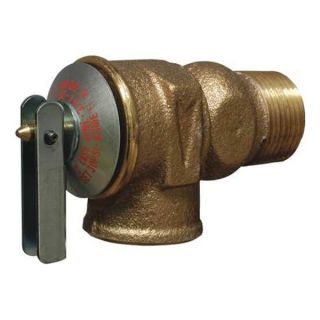 Cash Acme F 30 Safety Relief Valve, 3/4 In, Brass, 30 PSI