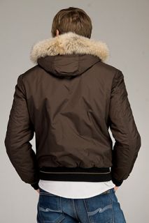 Refrigiwear  Hood Gold Line Dark Brown Jacket for men
