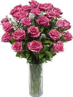 Two Dozen Premium Long Stem Pink Intuition Roses with Cylinder Hand