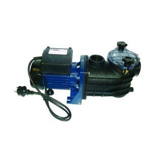 AQUALUX pompe de filtration 1/3CV 250W   Achat / Vente POMPE
